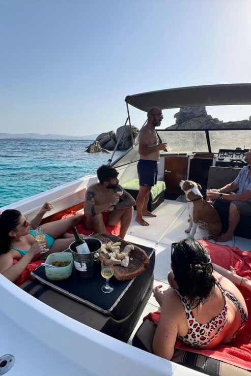 From Palau/La Maddalena: VIP Day on a Yacht in the Archipelago - Good To Know