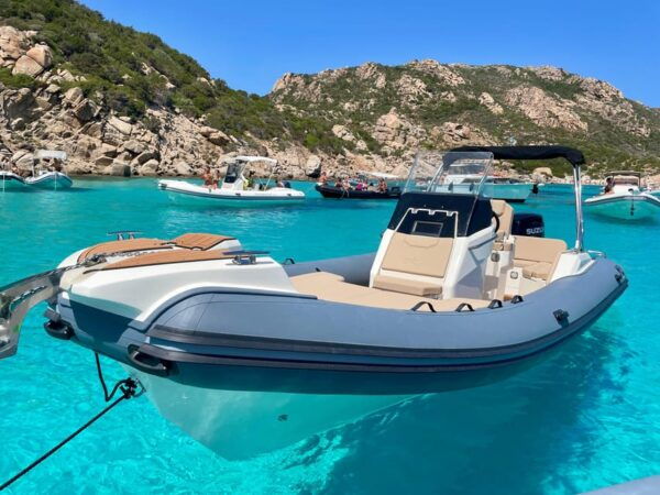 From Palau: Maddalena National Park Boat Tour - Customer Feedback
