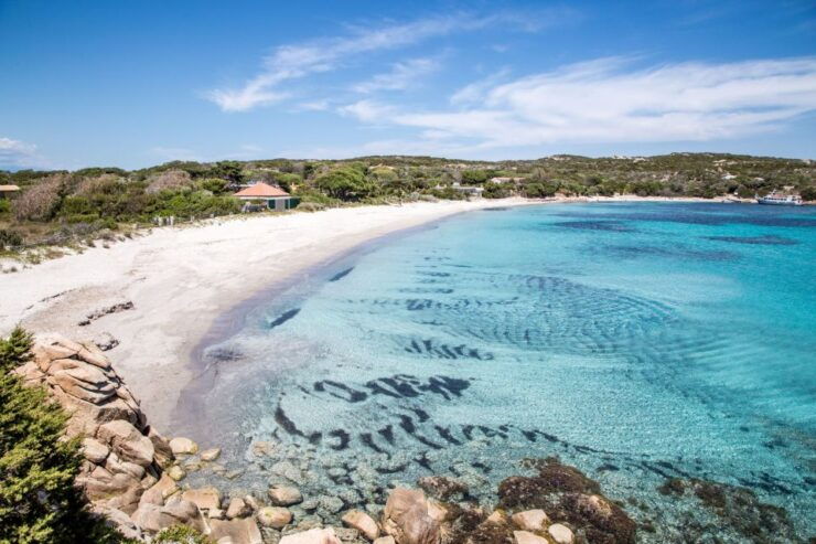 From Palau or La Maddalena: Archipelago Sailing Ship Tour - Good To Know