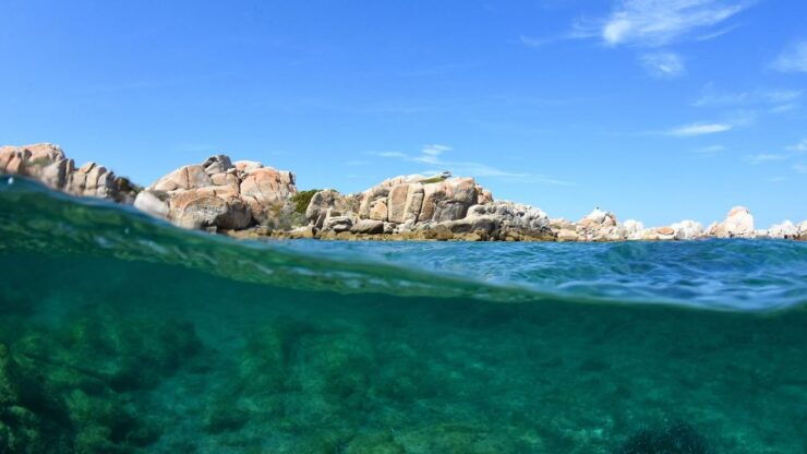 From Palau: South Corsica Trip by Wood Speedboat With Lunch - Itinerary Highlights