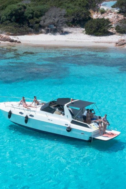 From Palau: Speedboat Tour in La Maddalena Archipelago - Boat Specifications