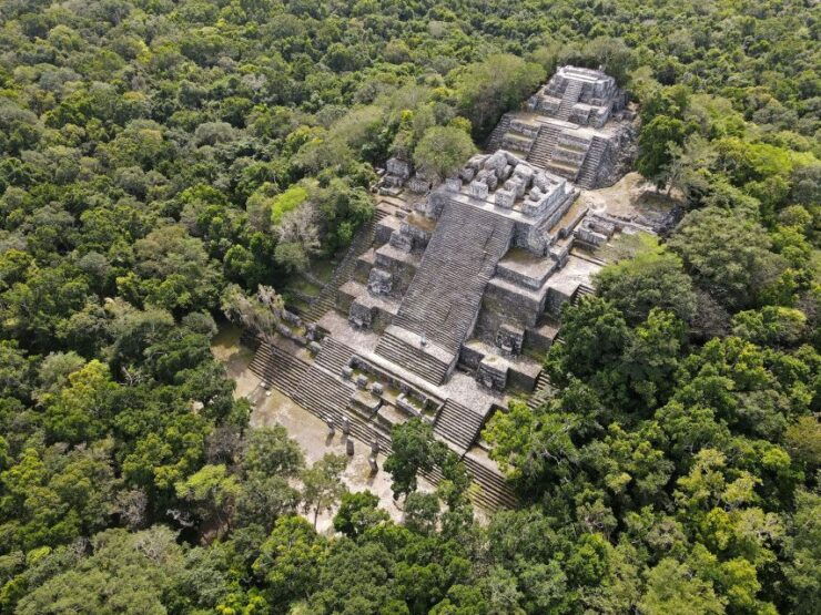 From Palenque: Calakmul Archaeological Zone - Experience Highlights