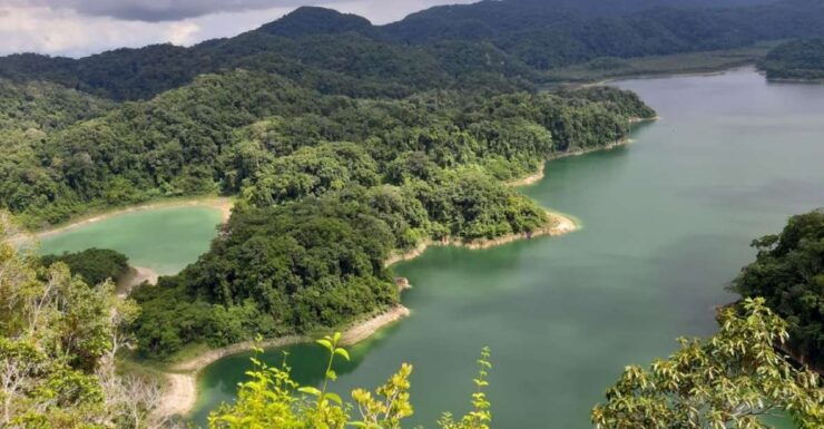 From Palenque: Metzabok Lacandona Jungle Private Tour - Experience Highlights