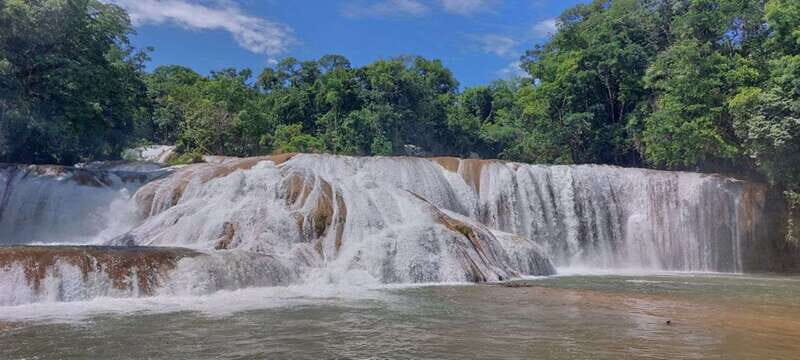 From Palenque: Misol-Ha & Agua Azul Waterfalls Day Tour - The Experience from the Reviews and Practical Insights