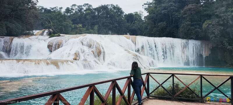 From Palenque: Misol-Ha & Agua Azul Waterfalls Day Tour - FAQ