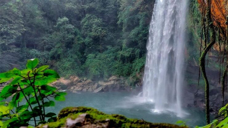 From Palenque: Palenque, Agua Azul Waterfalls and Misol-Ha - Historical Insights at Palenque