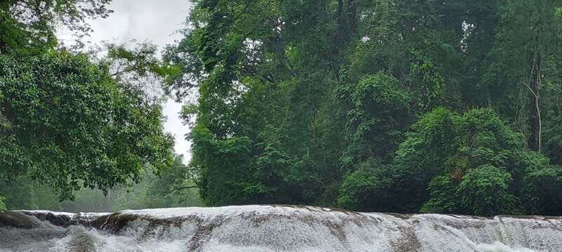 From Palenque: Palenque and Roberto Barrios Waterfalls Tour - Discovering the Palenque and Roberto Barrios Waterfalls Tour