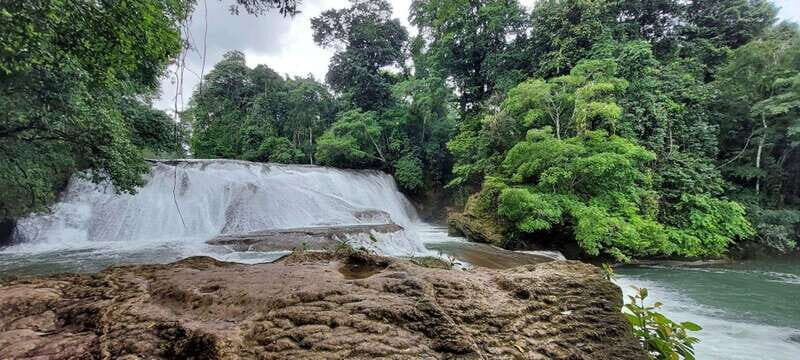 From Palenque: Palenque and Roberto Barrios Waterfalls Tour - What Travelers Say About the Experience