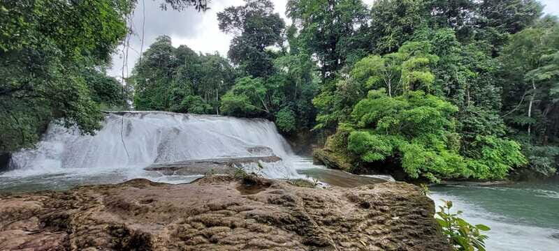 From Palenque: Palenque and Roberto Barrios Waterfalls Tour - Detailed Breakdown of the Experience
