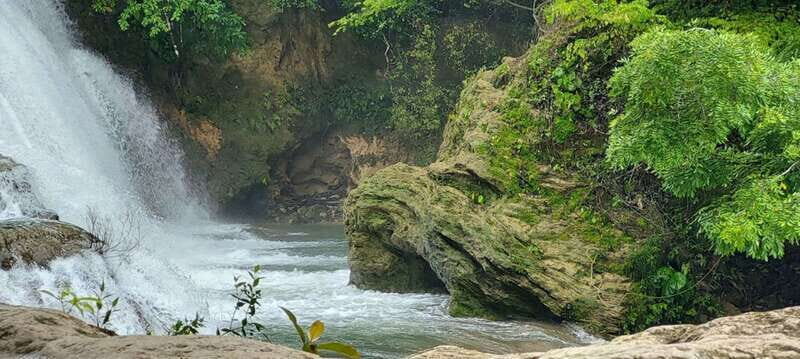 From Palenque: Palenque and Roberto Barrios Waterfalls Tour - The Sum Up