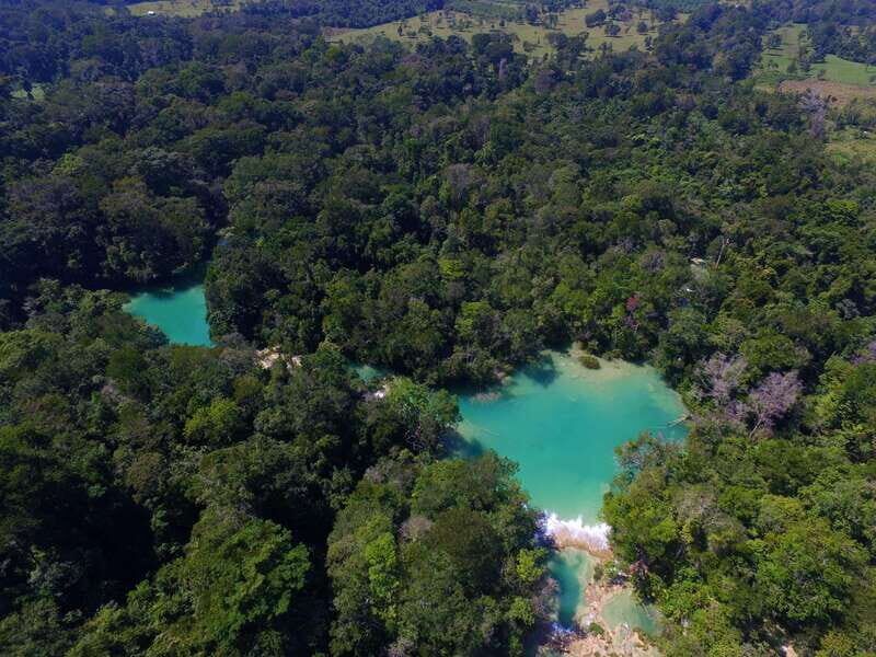 From Palenque: Palenque Ruins and waterfalls Roberto Barrios - Price and Value Analysis