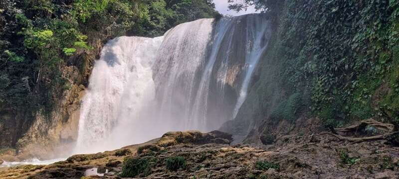 From Palenque: Roberto Barrios and El Salto Waterfalls Tour - A Closer Look at the Tour Experience