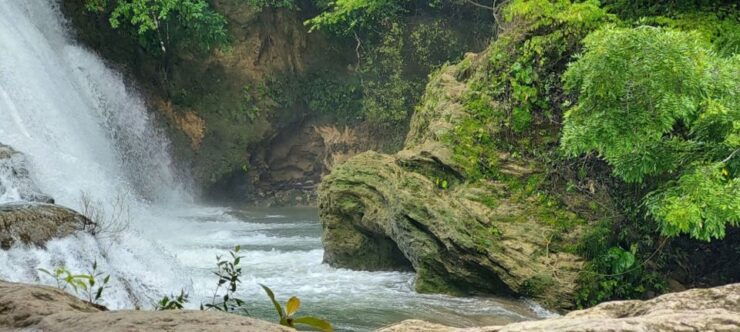 From Palenque: Roberto Barrios and El Salto Waterfalls Tour - Tour Details