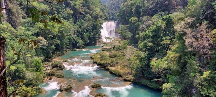 From Palenque: Roberto Barrios and El Salto Waterfalls Tour - Experience Highlights