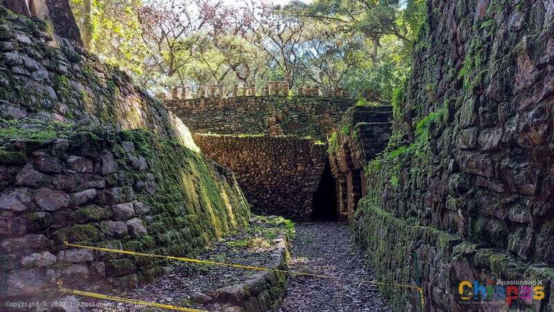 From Palenque: Yaxchilán and Bonampak Tour - Is This Tour Worth the Price?