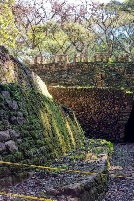 From Palenque: Yaxchilán and Bonampak Tour - Included in the Tour