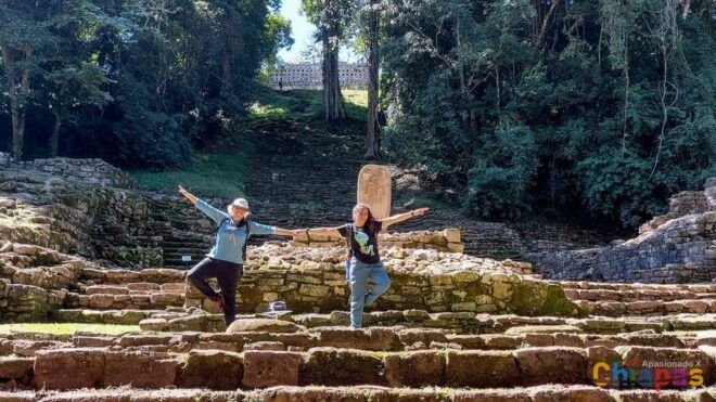 From Palenque: Yaxchilán and Bonampak Tour - Customer Feedback