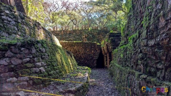 From Palenque: Yaxchilán and Bonampak Tour - Pricing and Booking