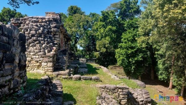 From Palenque: Yaxchilán and Bonampak Tour - Transportation and Logistics