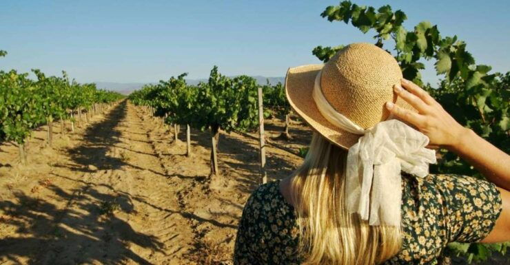 From Palermo: 5-Day Food, Wine, and Culture West Sicily Tour - Activities in Palermo