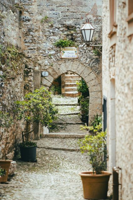 From Palermo: Day Trip to Erice, Segesta and Salt Pans - Inclusions and Amenities of the Tour