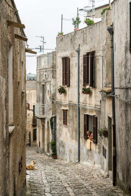 From Palermo: Day Trip to Erice, Segesta and Salt Pans - Tips for a Smooth Experience
