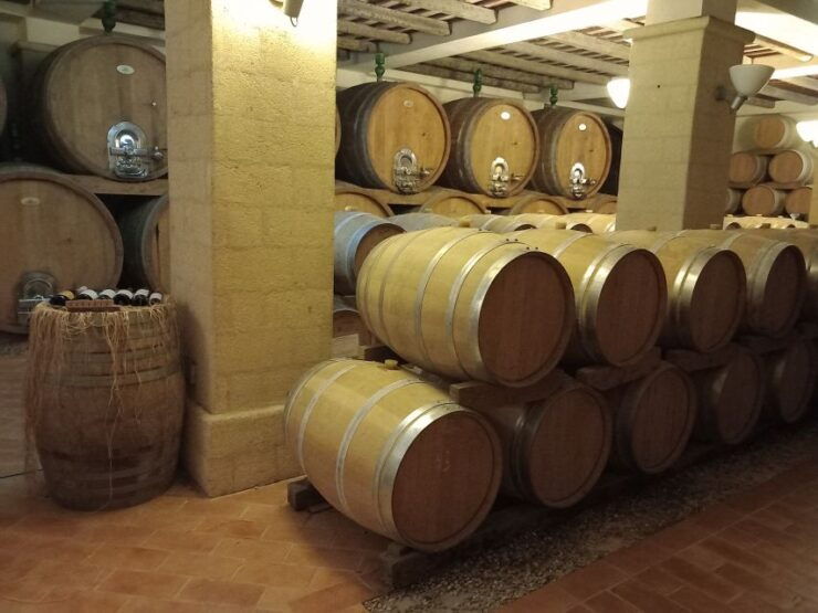 From Palermo: Erice and Marsala Day Trip With Wine Tasting - Experience Highlights