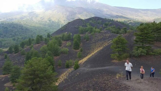 From Palermo to Taormina: Mount Etna (Multi-Language Tour) - Experience at Mount Etna
