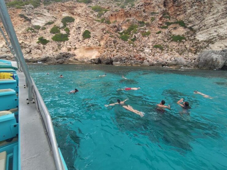 From Palma: 3-Hour Morning Dolphin Watching Boat Tour - Tour Details
