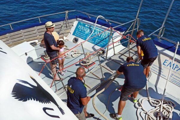 From Palma: 3-Hour Morning Dolphin Watching Boat Tour - Restrictions and Recommendations