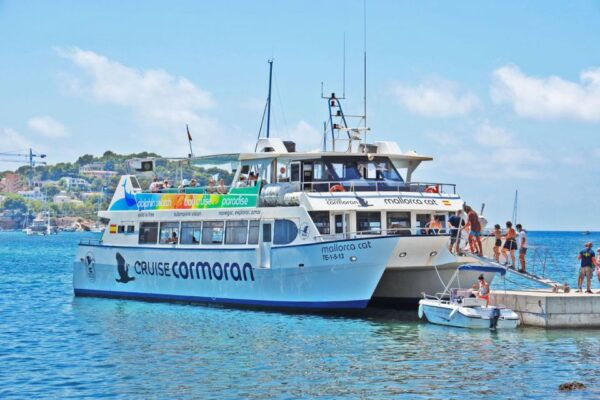 From Palma: 3-Hour Morning Dolphin Watching Boat Tour - Frequently Asked Questions
