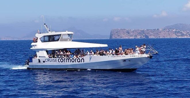 From Palma: Afternoon Dolphin-Watching Boat Tour - Itinerary and Route