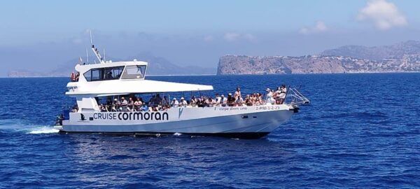 From Palma: Afternoon Dolphin-Watching Boat Tour - Snorkel Gear and Deposit