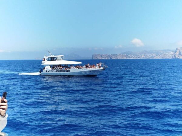 From Palma: Afternoon Dolphin-Watching Boat Tour - Customer Reviews