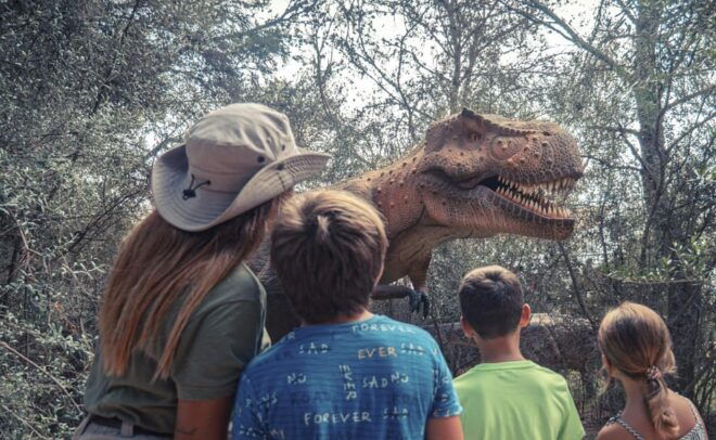 From Palma De Mallorca: Dinosaurland Tour - Important Information