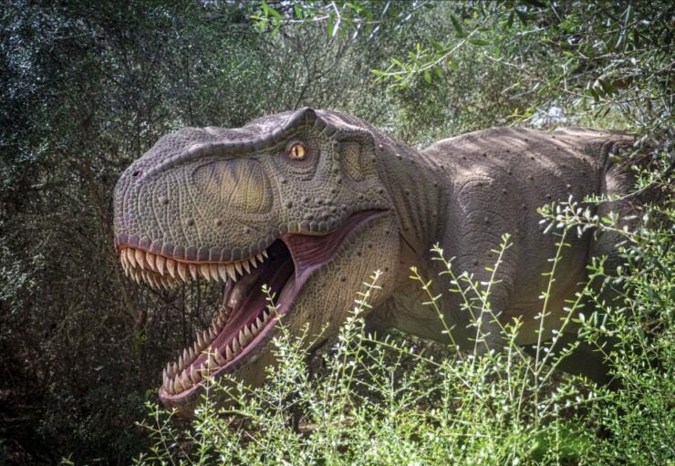 From Palma De Mallorca: Dinosaurland Tour - Tour Details