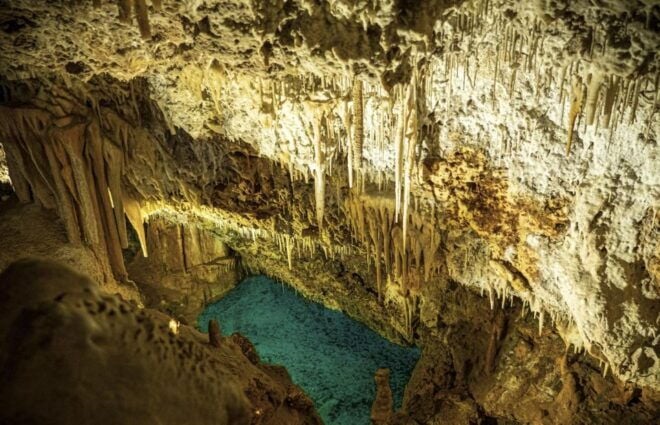 From Palma De Mallorca: Dinosaurland Tour - Experience