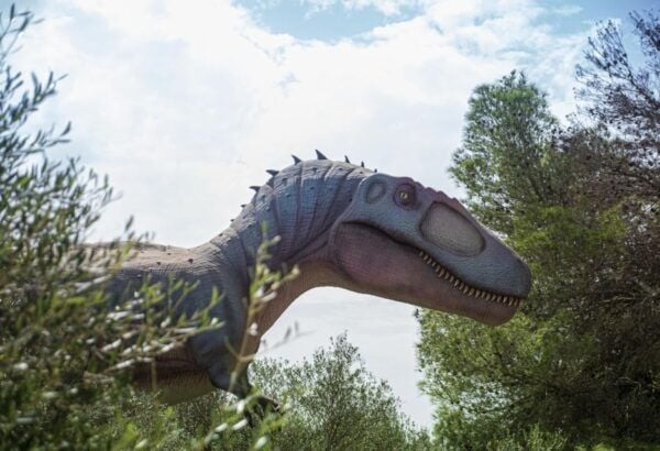 From Palma De Mallorca: Dinosaurland Tour - Background