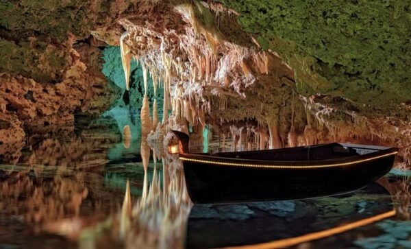 From Palma De Mallorca: Dinosaurland Tour - Frequently Asked Questions