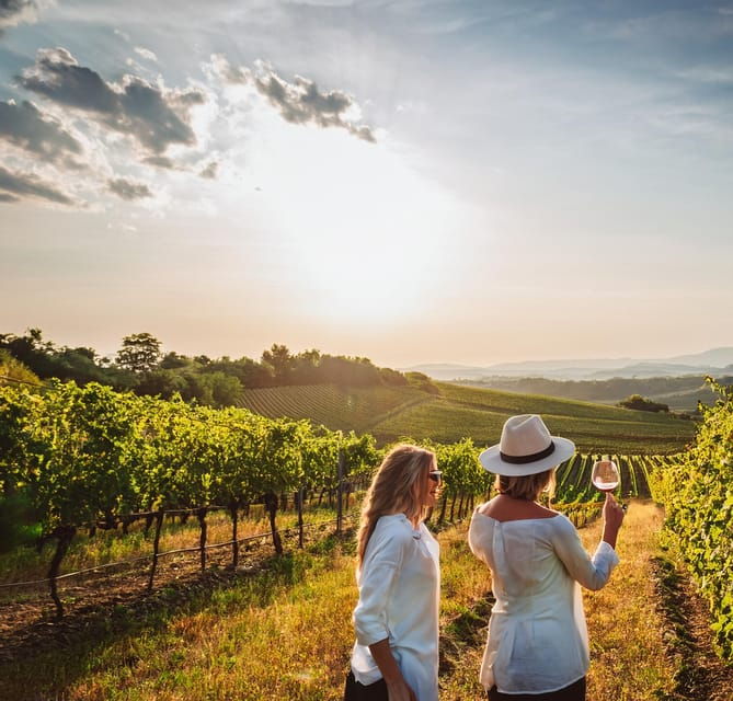 From Palma De Mallorca: Private Wine and Local Flavors Tour - Itinerary