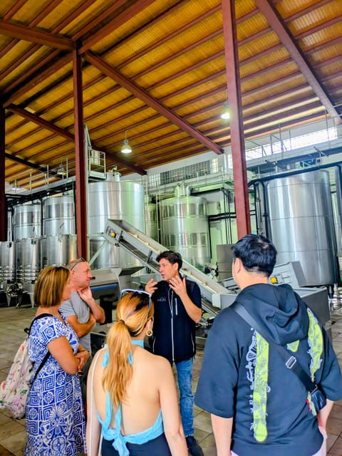 From Palma De Mallorca: Private Wine and Local Flavors Tour - Winemaking Process and Techniques