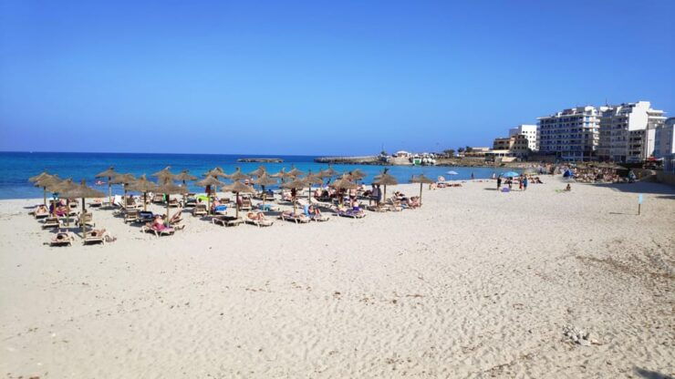 From Palma: Full Day Mallorca Tour With a Professional Guide - Good To Know