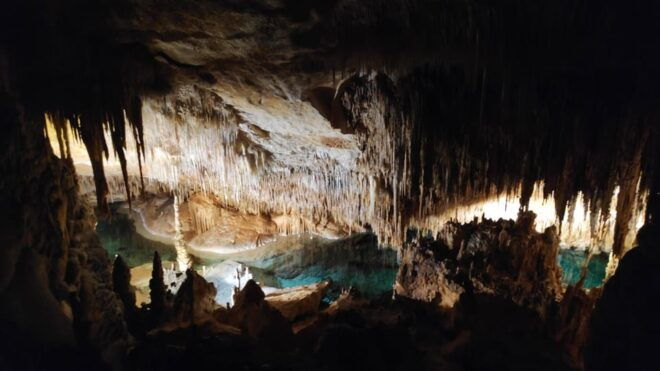 From Palma: Full Day Mallorca Tour With a Professional Guide - Afternoon in Cala Millor and Cala Bona