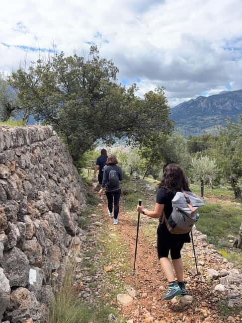 From Palma: Sierra de Tramuntana Hiking with small Picnic - Highlighting the Dry Stone Route (GR221)