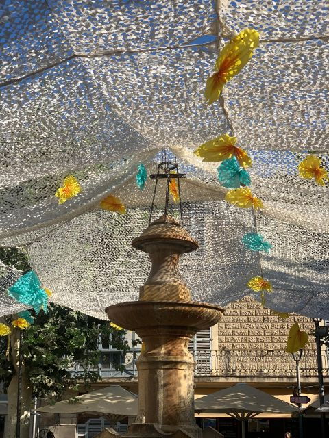 From Palma: Soller Valley Walk and Picnic in Orange Farm - Important Information