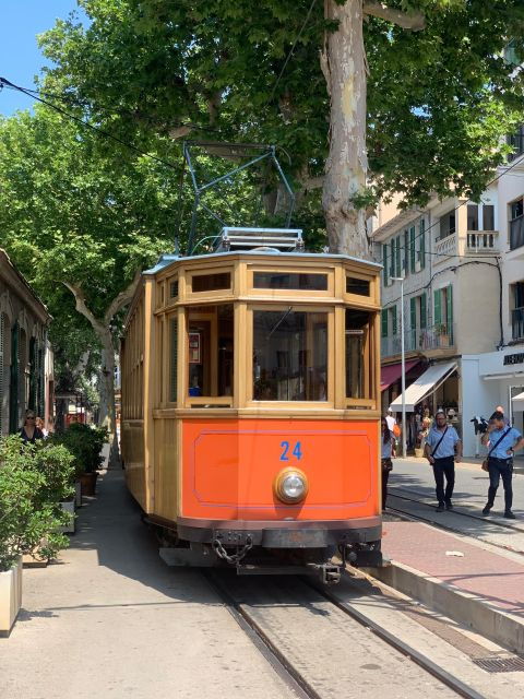 From Palma: Soller Valley Walk and Picnic in Orange Farm - Exploring Hidden Villages