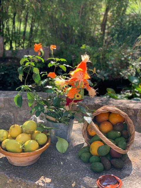 From Palma: Soller Valley Walk and Picnic in Orange Farm - Enjoying Farm Life in Sóller Valley