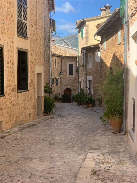 From Palma: Soller Valley Walk and Picnic in Orange Farm - Common Questions