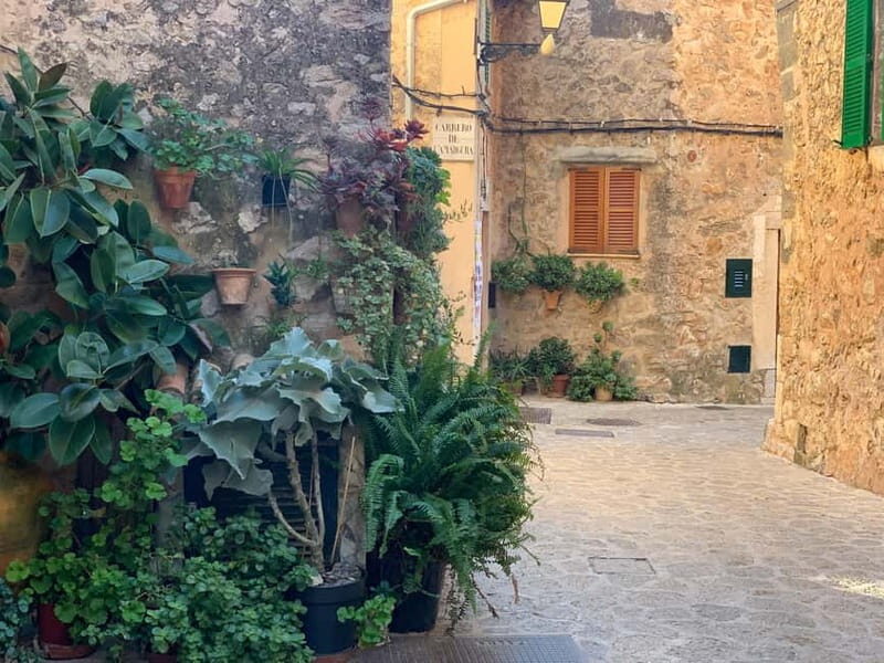 From Palma: Valldemossa Tour and Mountain Viewpoint Hike - Discovering Mallorca’s Natural Beauty and Cultural Charm