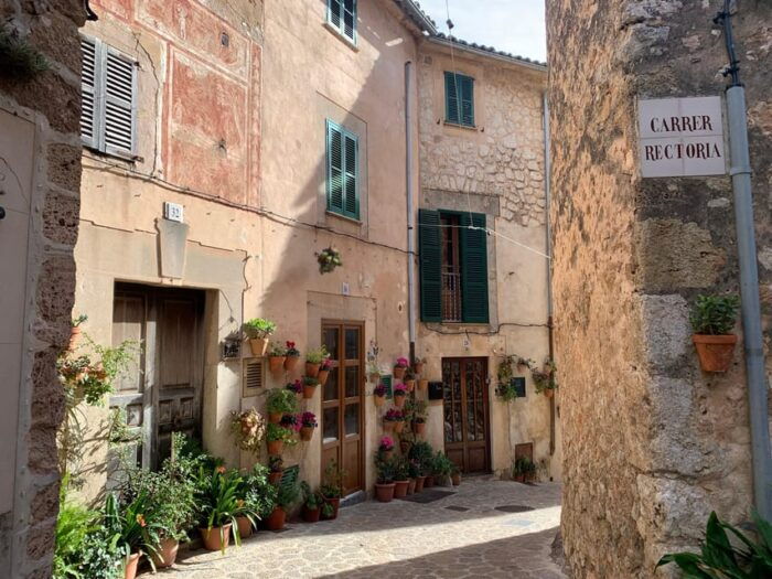 From Palma: Valldemossa Tour and Mountain Viewpoint Hike - Common Questions